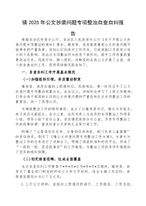(参考)2025年公文抄袭问题专项整治自查自纠报告（乡镇）
