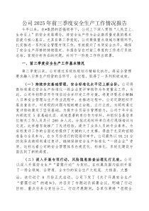 (参考)2025年前三季度安全生产工作情况报告（公司）