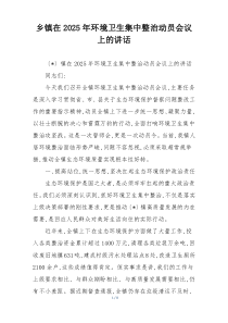 乡镇在2025年环境卫生集中整治动员会议上的讲话