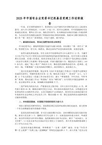 (参考)2025年市国有企业党委书记抓基层党建工作述职报告