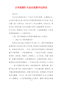 公司党委扩大会议党委书记讲话