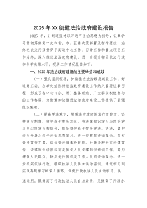 (参考)2025年法治政府建设报告（街道）