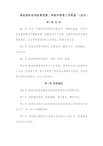 高校团的各项经费预算审核和管理工作制度试行