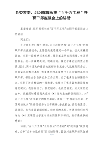 县委常委、组织部部长在“百千万工程”挂职干部座谈会上的讲话