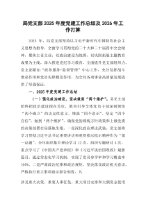 (参考)局党支部2025年度党建工作总结及2026年工作打算