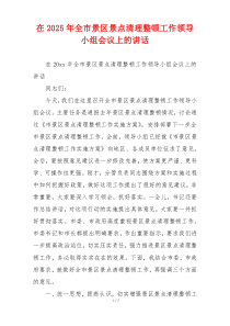 在2025年全市景区景点清理整顿工作领导小组会议上的讲话