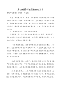 (参考)表态发言：乡镇党委书记（巡察动员会）