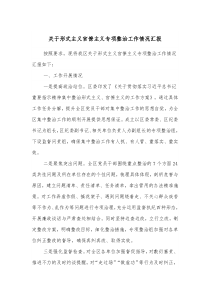 关于形式主义官僚主义专项整治工作情况汇报