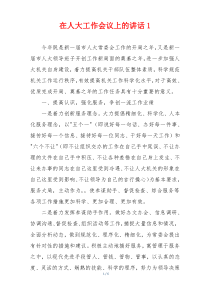 在人大工作会议上的讲话1