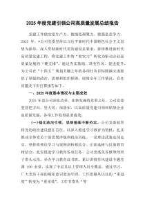 (材料)2025年度党建引领公司高质量发展总结报告