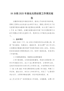 (材料)XX分局2025年查处无照经营工作情况报告
