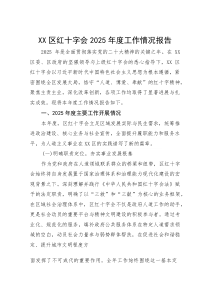(材料)XX区红十字会2025年度工作情况报告