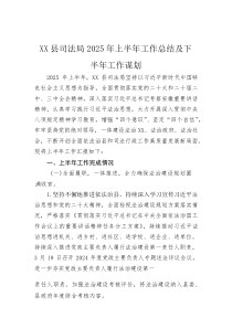 (材料)XX县司法局2025年上半年工作总结及下半年工作谋划