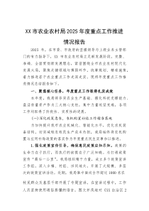 (材料)XX市农业农村局2025年度重点工作推进情况报告
