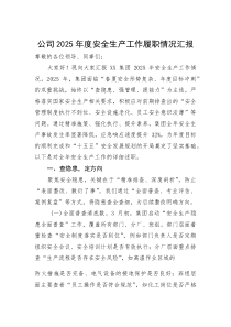 (材料)公司2025年度安全生产工作履职情况汇报