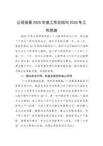 (材料)公司党委2025年度工作总结与2026年工作思路