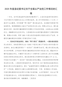 2025年度县纪委书记关于全面从严治党工作情况的汇报(参考)