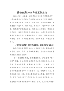 (材料)县公安局2025年度工作总结