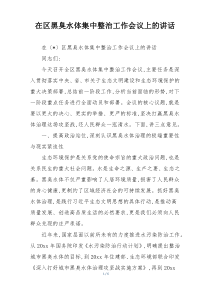 在区黑臭水体集中整治工作会议上的讲话