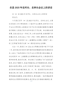 在县2025年总河长、总林长会议上的讲话
