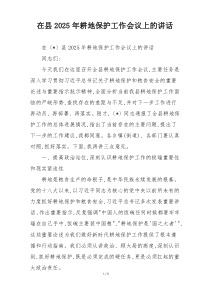 在县2025年耕地保护工作会议上的讲话