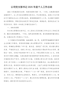 公司党支部书记2025年度个人工作总结(参考)