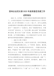 (材料)国有企业党支部2025年度抓基层党建工作述职报告