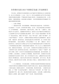 (材料)市供销社党组2025年抓基层党建工作述职报告