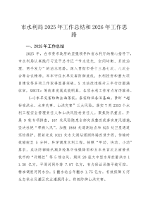 (材料)市水利局2025年工作总结和2026年工作思路