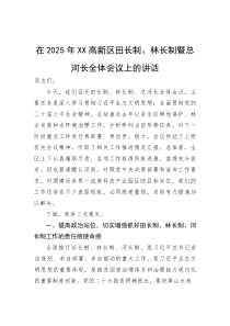 在2025年高新区田长制、林长制暨总河长全体会议上的讲话(参考)