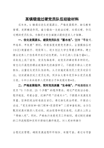 (材料)某镇锻造过硬党员队伍经验材料