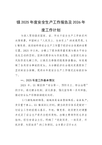 (材料)镇2025年度安全生产工作报告及2026年度工作计划
