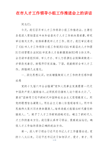 在市人才工作领导小组工作推进会上的讲话