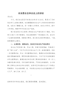 安委会上的讲话(参考)