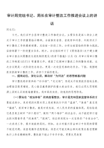 审计局党组书记、局长在审计整改工作推进会议上的讲话(参考)