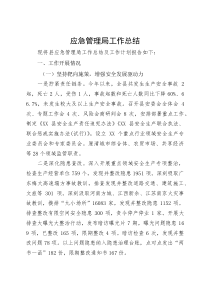 应急管理局工作总结(参考)