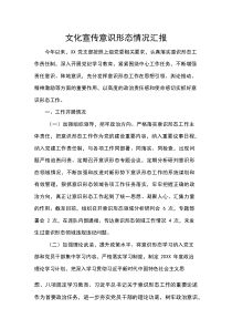 文化宣传意识形态情况汇报(参考)