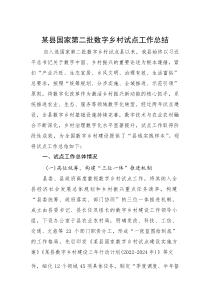 某县国家第二批数字乡村试点工作总结(参考)