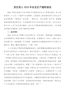 某负责人2025年安全生产履职报告(参考)