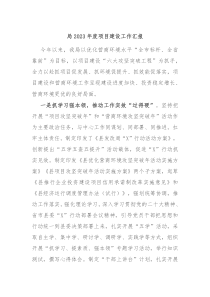 局20XX年度项目建设工作汇报