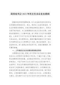 局党组书记20XX年民主生活会发言提纲