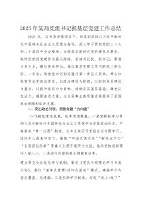 2025年某局党组书记抓基层党建工作总结(材料)