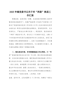 2025年镇党委书记关于村“两委”换届工作汇报(材料)