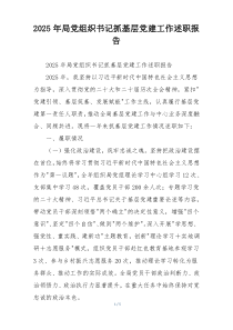 2025年局党组织书记抓基层党建工作述职报告
