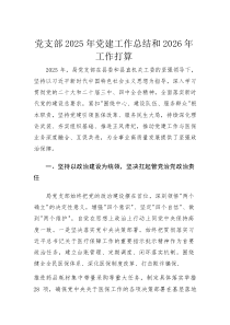 党支部2025年党建工作总结和2026年工作打算(材料)