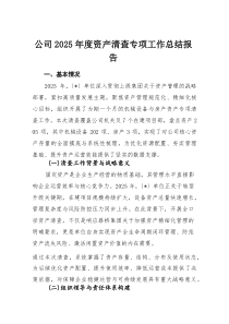 公司2025年度资产清查专项工作总结报告(材料)
