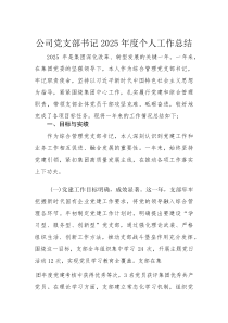 公司党支部书记2025年度个人工作总结(材料)