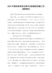 2025年度民政局党支部书记抓基层党建工作述职报告