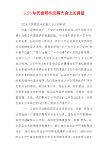 2025年民营经济发展大会上的讲话