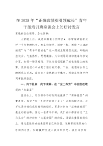 在2025年“正确政绩观引领成长”青年干部培训班座谈会上的研讨发言(材料)